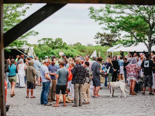 Nantucket Vineyard